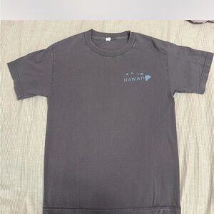 Gray Hawaii T-Shirt